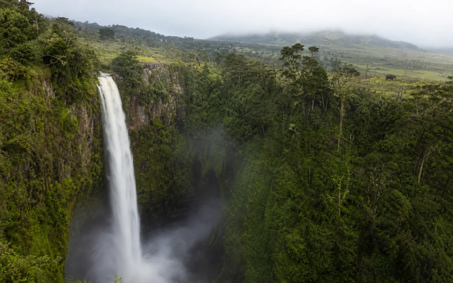 7 Days Meru, Ol Pejeta & Aberdares