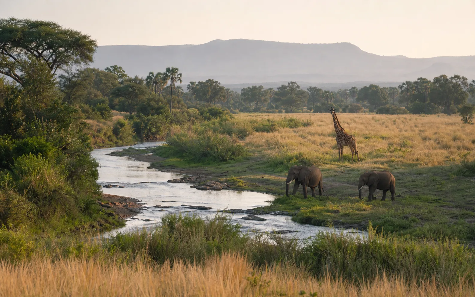 4 Days Meru Born Free Wilderness